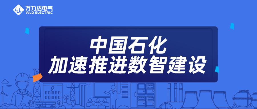 攜手加速中國(guó)石化數(shù)智建設(shè)